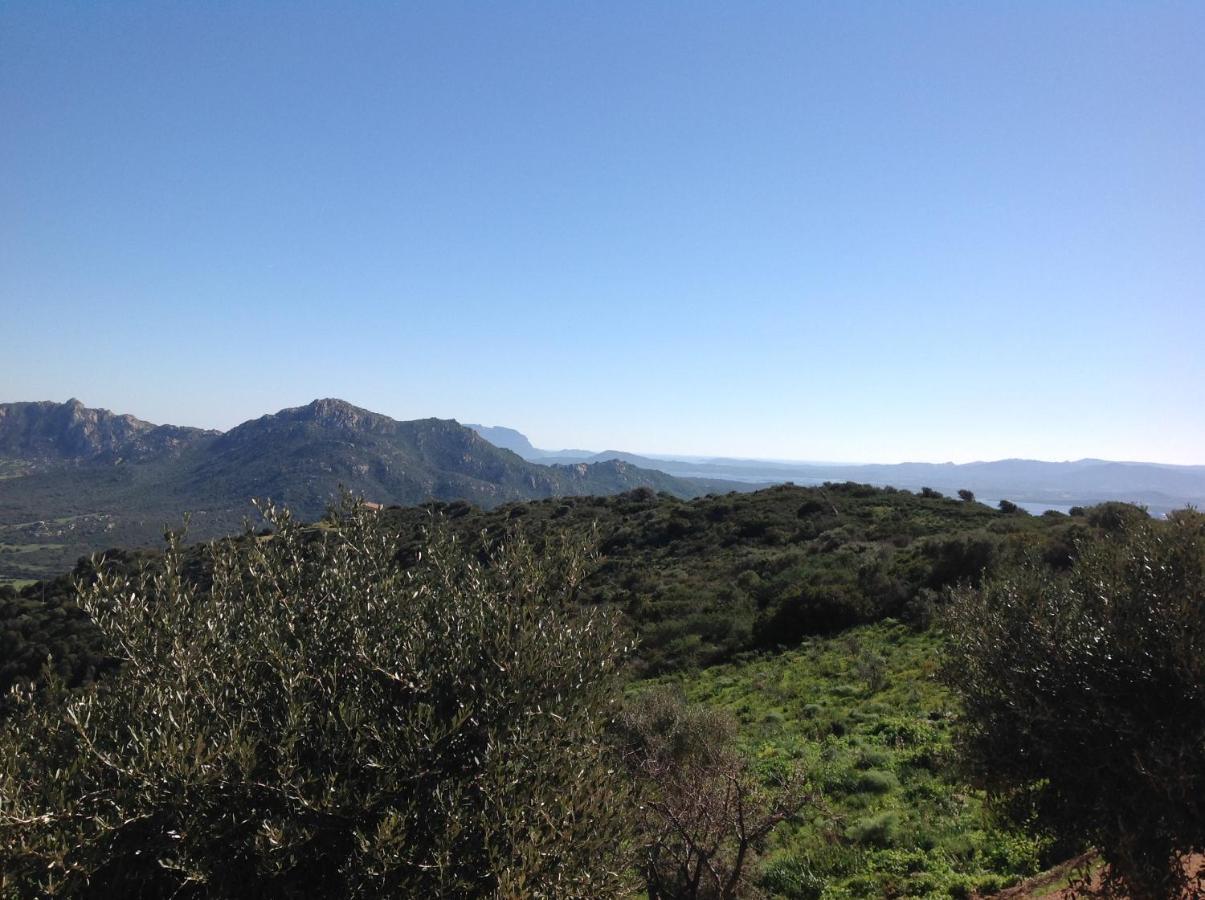 Lu Nidu Casa vacanze