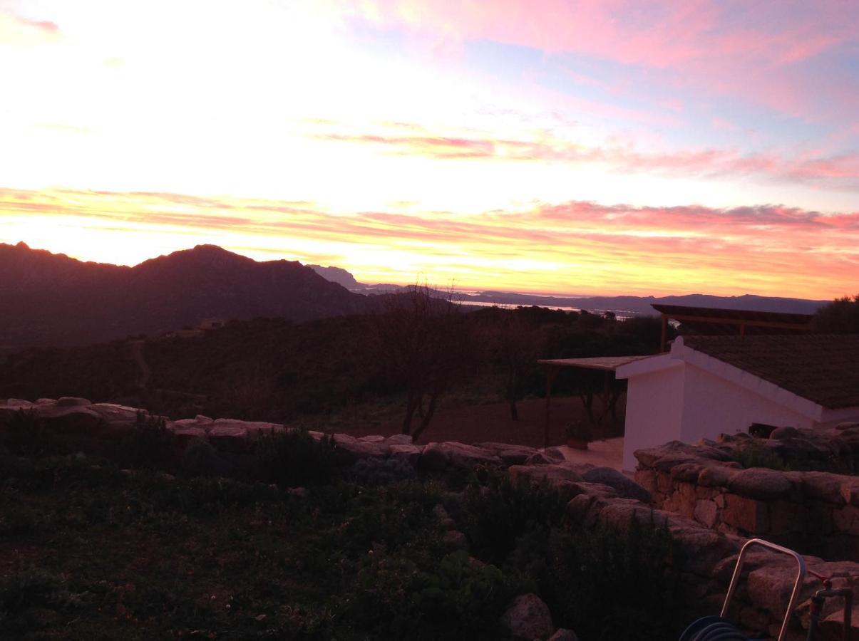 Lu Nidu Olbia